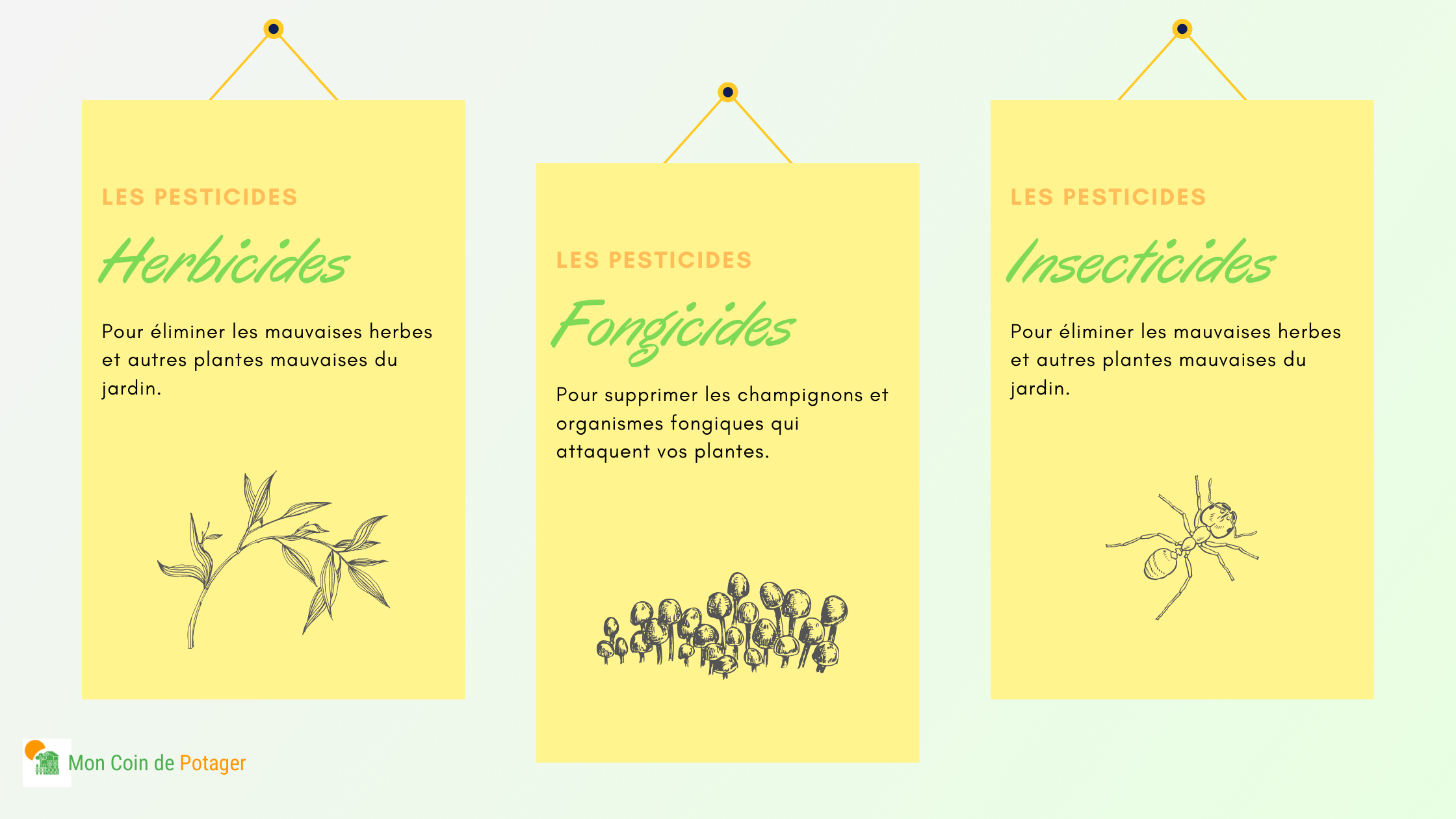 Trois grandes familles de pesticides existent : les herbicides pour les mauvaises herbes, les fongicides pour les champignons et les insecticides pour les nuisibles. Il est possible de jardiner sans pesticides !